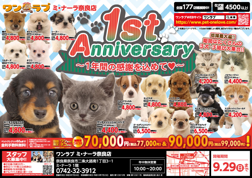1周年記念祭 開催!!】奈良県 ワンラブ ミ・ナーラ奈良店 1st