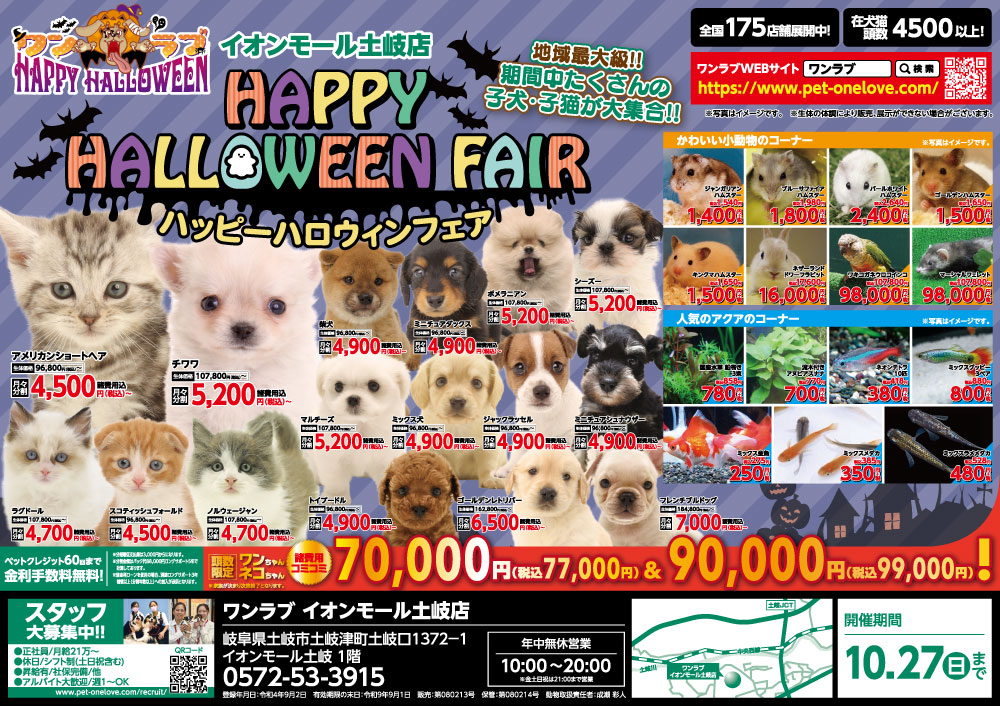 わんにゃんフェスティバル開催】静岡県 ワンラブ ららぽーと沼津店