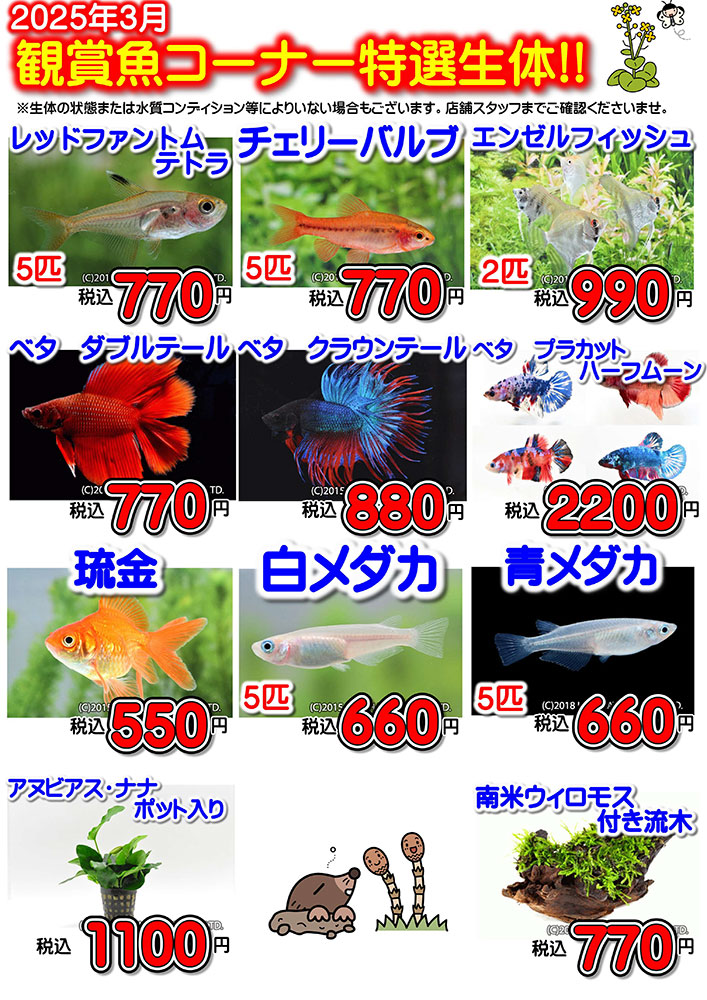 202503　ワンラブアクアコーナーイベント