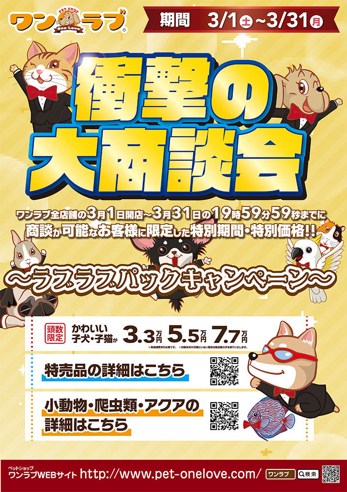 20250301-衝撃の対象段階　ペットショップワンラブ