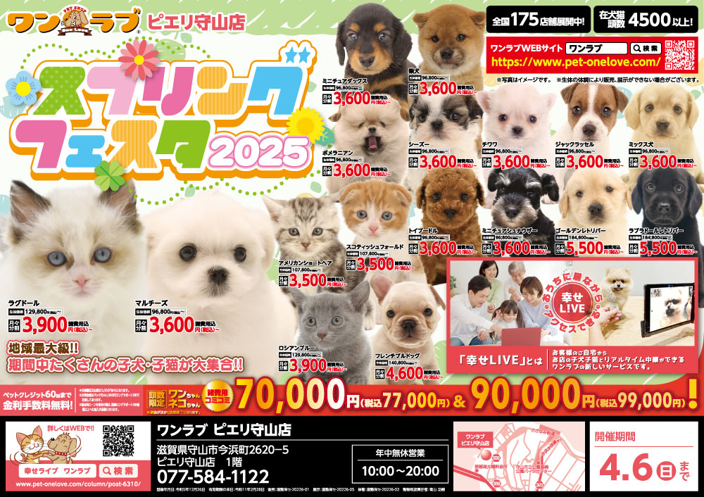 20250322-ペットショップワンラブ ピエリ守山店チラシ