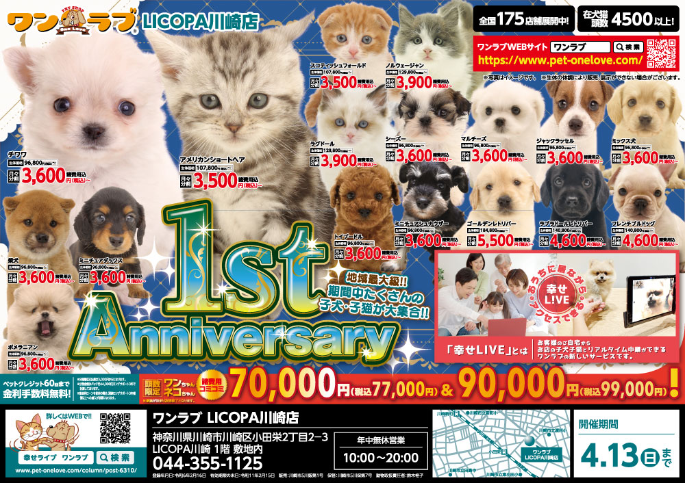 20250329-ペットショップワンラブ LICOPA川崎店チラシ