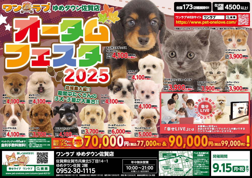 20250830-ペットショップワンラブ ゆめタウン佐賀店チラシ
