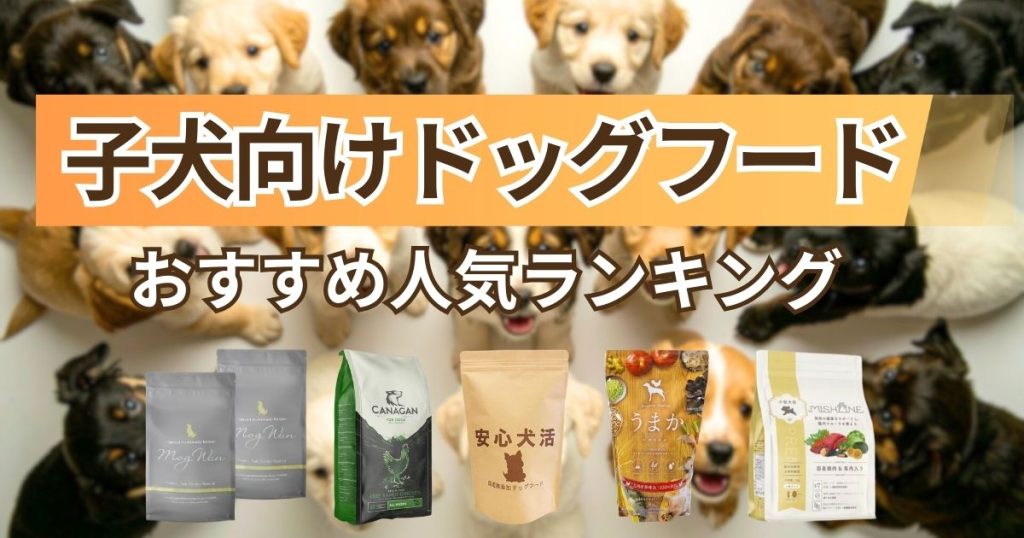 子犬向けドッグフードおすすめ10選！市販から無添加・獣医推奨まで厳選 