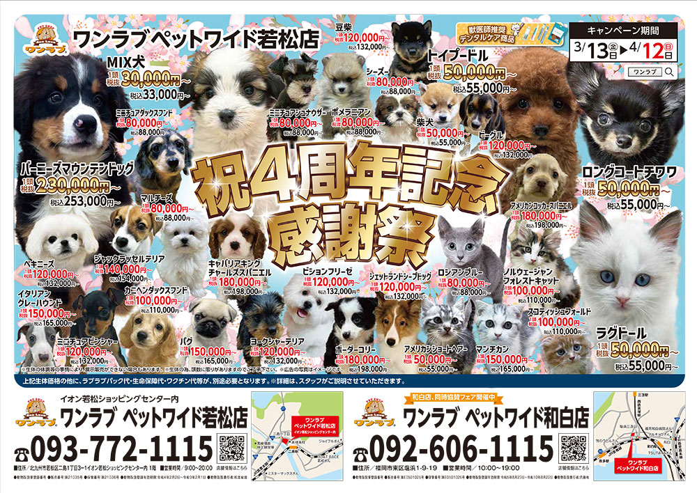祝！若松店4周年感謝祭 開催!!】福岡県 ワンラブ ホームワイド若松店