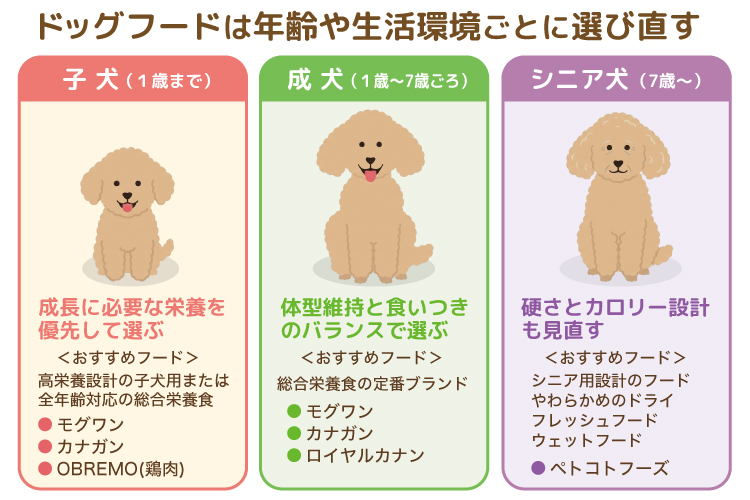 トイプードル向けおすすめドッグフード10商品の人気ランキング！安さ
