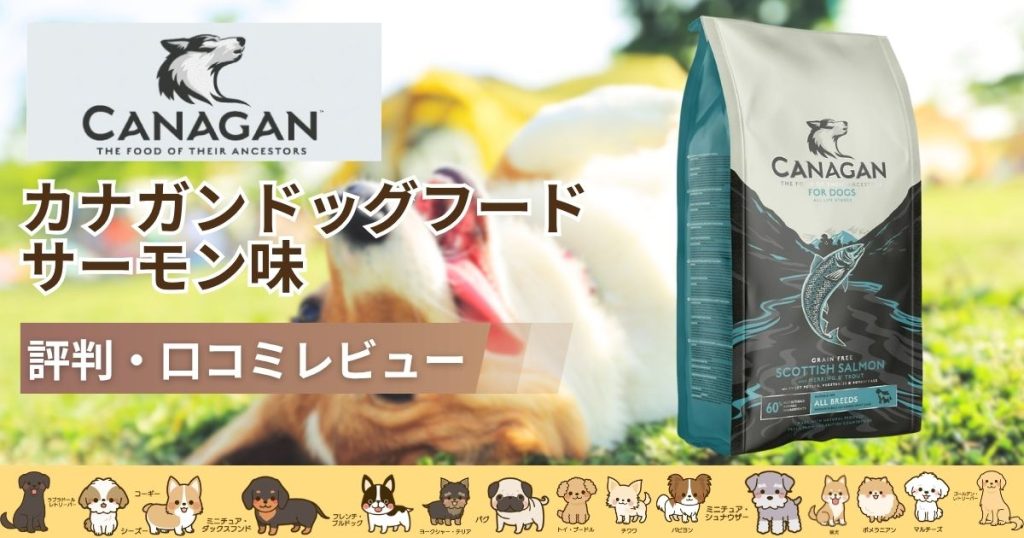 カナガンドッグフードサーモンの口コミと評判！成分・効果・お試しは