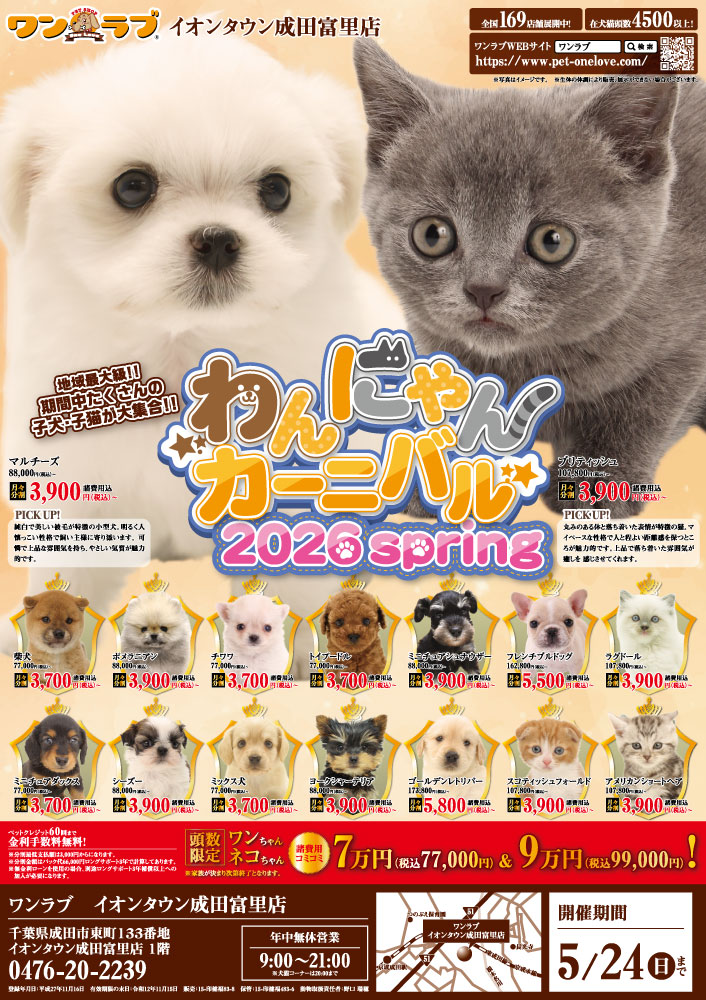 わんにゃんカーニバル 開催！！】千葉県 ワンラブ イオンタウン成田