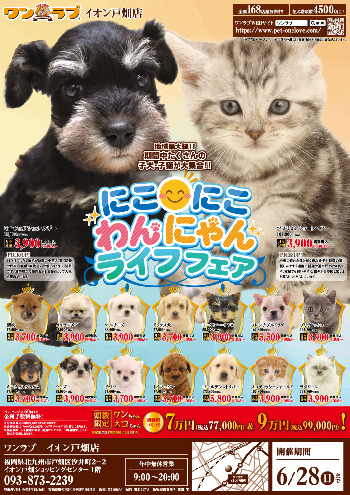 にこにこわんにゃんライフフェア開催！】福岡県北九州市 ワンラブ