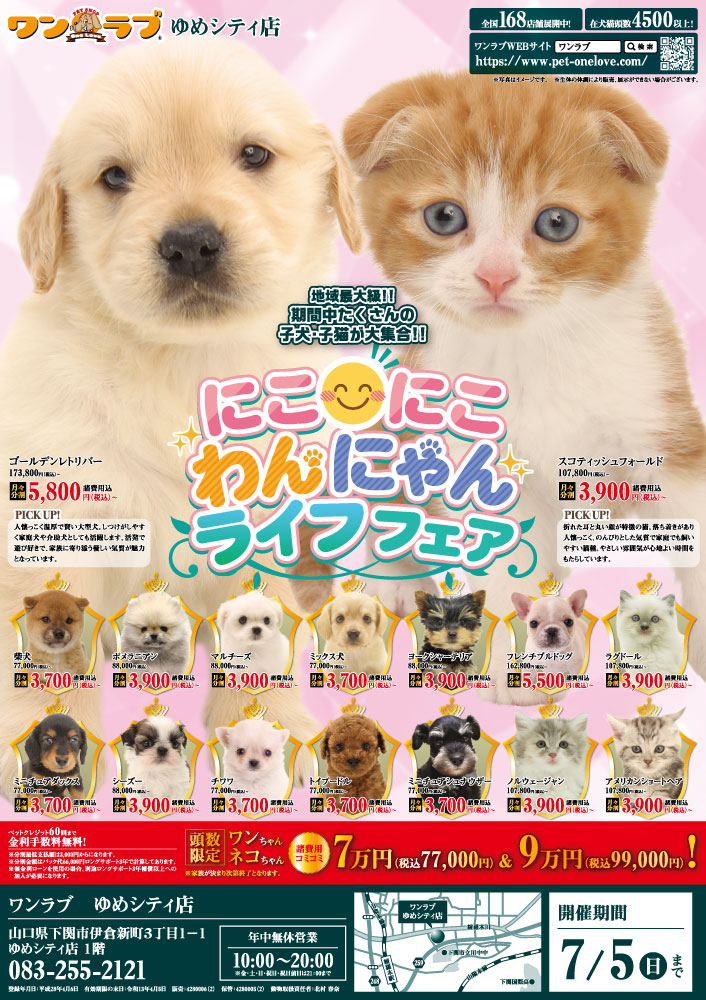 20260620-ペットショップワンラブ ゆめシティ店チラシ