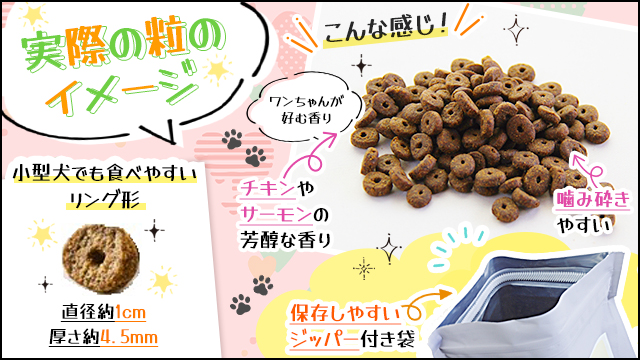コスパ最強の安いドッグフード15選！安全で信頼できる商品を厳選 