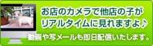 お店のカメラで他店の子がリアルタイムに見れますよ♪