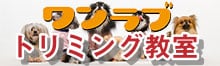 ワンラブトリミング教室