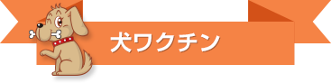 犬ワクチン