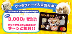 【ワンラブカード入会受付中！！】 ワンラブ店舗にて大変お得なワンラブカードが誕生！入会受付中です～　7/1～