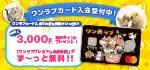 【ワンラブカード入会受付中！！】 ワンラブ店舗にて大変お得なワンラブカードが誕生！入会受付中です～　7/1～