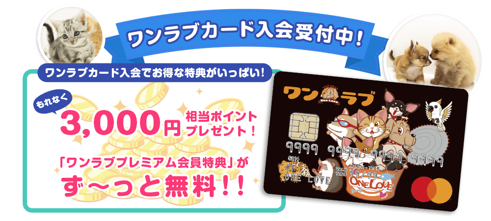 【ワンラブカード入会受付中！！】 ワンラブ店舗にて大変お得なワンラブカードが誕生！入会受付中です～　7/1～