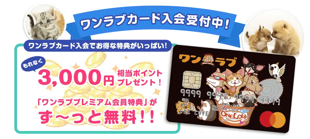 【ワンラブカード入会受付中！！】 ワンラブ店舗にて大変お得なワンラブカードが誕生！入会受付中です～　7/1～