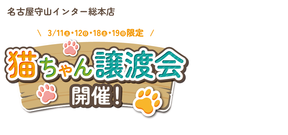 【猫ちゃん譲渡会開催】愛知県 ワンラブ 守山インター総本店 特設会場にて猫ちゃん譲渡会開催！！3/11・12・18・19｜ワンラブグループ