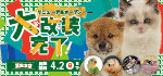 【祝！リニューアルオープン！！】静岡県 ワンラブ 浜松本店 大改装完了！リニューアルオープンイベント開催！！3/18～4/2まで｜ワンラブグループ