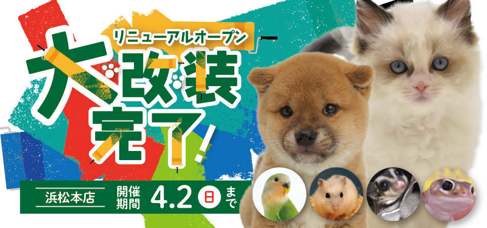 【祝！リニューアルオープン！！】静岡県 ワンラブ 浜松本店 大改装完了！リニューアルオープンイベント開催！！3/18～4/2まで｜ワンラブグループ