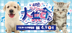 【HAPPY1,000DAYS イベント開催！！】栃木県 ワンラブ ベルモール宇都宮店 ワンちゃんネコちゃん大集合イベント開催！！3/25～4/9まで｜ワンラブグループ