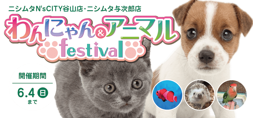【わんにゃん&アニマルフェスティバル開催！】鹿児島県 ワンラブ ニシムタ与次郎店＆ N'sCITY谷山店 にてわんにゃん&アニマルフェスティバルが開催！！ 5/20～6/4まで｜ワンラブグループ