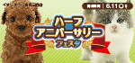 【ハーフアニバーサーリーフェスタ開催！！】石川県 ワンラブ イオンタウン金沢示野店 イベント開催！！5/27～6/11まで｜ワンラブグループ