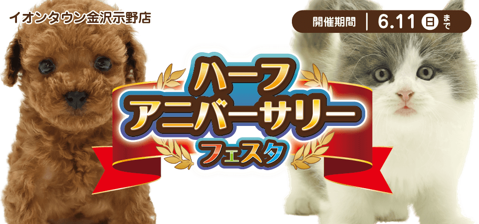 【ハーフアニバーサーリーフェスタ開催！！】石川県 ワンラブ イオンタウン金沢示野店 イベント開催！！5/27～6/11まで｜ワンラブグループ