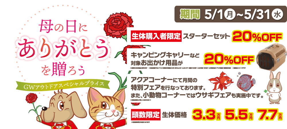【５月 感謝祭 開催！！】ワンラブ全店｜GW・母の日 ありがとうを贈ろう～スペシャルプライスでお得がいっぱい♪｜５月末まで