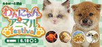 【わんにゃん&アニマルフェスティバル開催】大阪府 ワンラブ ららぽーと堺店 イベント開催！！6/3～6/18まで｜ワンラブグループ