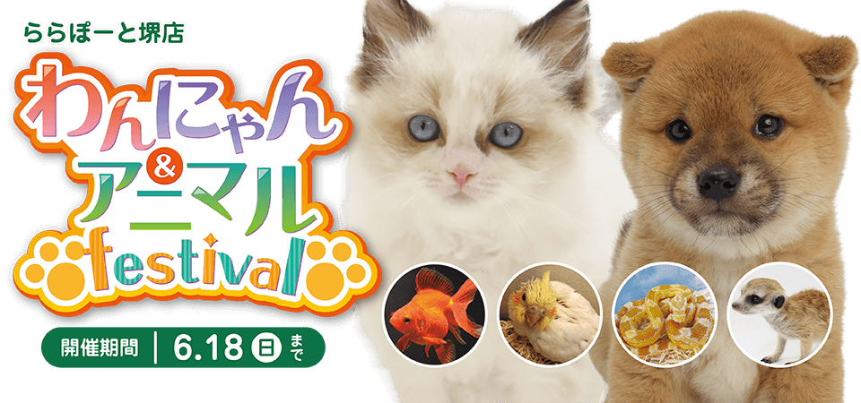 【わんにゃん&アニマルフェスティバル開催】大阪府 ワンラブ ららぽーと堺店 イベント開催！！6/3～6/18まで｜ワンラブグループ