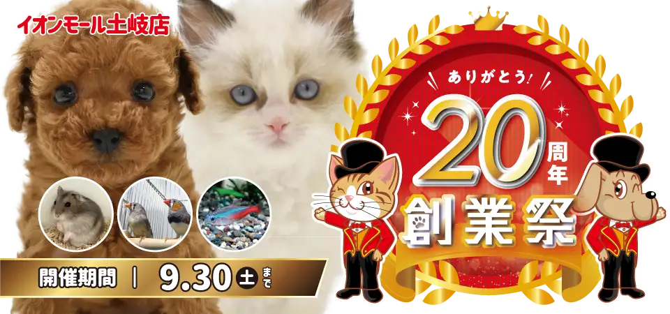 【20周年 創業祭 開催！！】岐阜県 ワンラブ イオンモール土岐店 イベント開催！！9/2～9/30まで｜ワンラブグループ