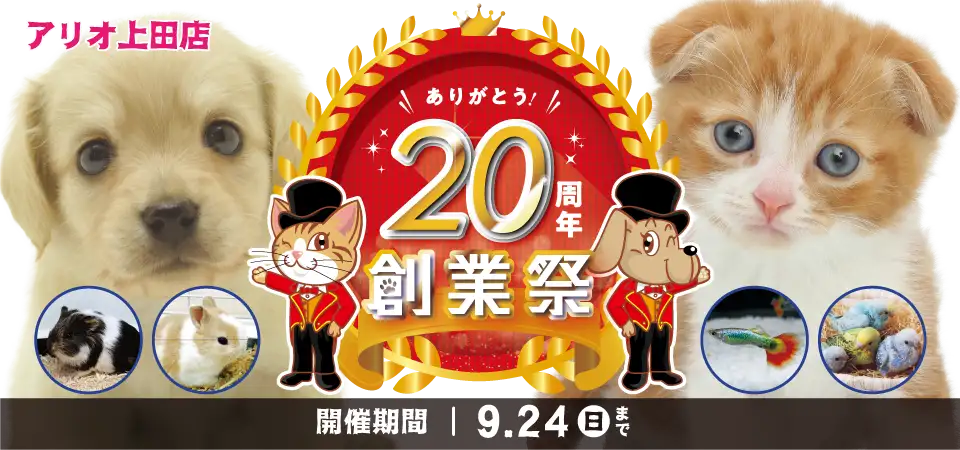 【20周年 創業祭 開催！！】長野県 ワンラブ アリオ上田店 イベント開催！！9/9～9/24まで｜ワンラブグループ
