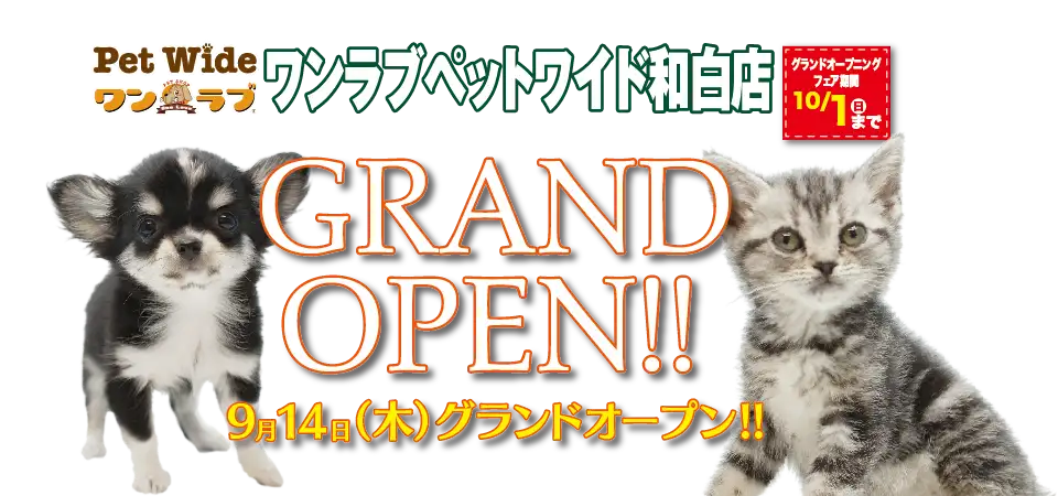 【祝！グランドオープン!!】福岡県 ワンラブ ホームワイド ペット＆グリーン和白店 オープンイベント開催！！9/14～10/1まで