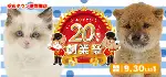【20周年 創業祭 開催！！】長崎県 ワンラブ ゆめタウン夢彩都店 イベント開催！！9/16～9/30まで｜ワンラブグループ