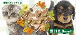 【オータムフェア 開催！！】沖縄県 ワンラブ 浦添パルコシティ店 イベント開催！！9/23～10/9まで｜ワンラブグループ