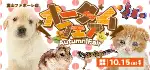 【オータムフェア 開催！！】富山県 ワンラブ 富山ファボーレ店 イベント開催！！9/30～10/15まで｜ワンラブグループ