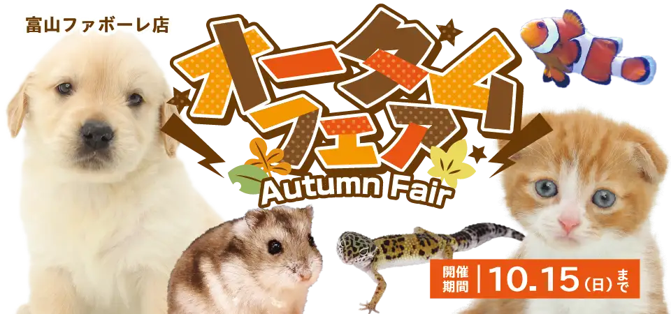 【オータムフェア 開催！！】富山県 ワンラブ 富山ファボーレ店 イベント開催！！9/30～10/15まで｜ワンラブグループ