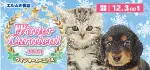【ウィンターカーニバル開催！！】青森県 ワンラブ エルムの街店 ウィンターイベント開催！！11/18～12/3まで｜ワンラブグループ