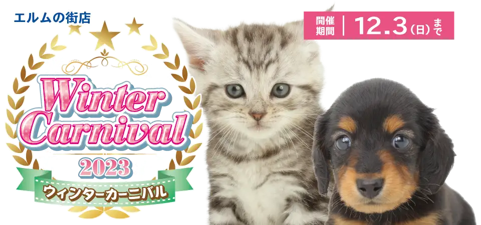 【ウィンターカーニバル開催！！】青森県 ワンラブ エルムの街店 ウィンターイベント開催！！11/18～12/3まで｜ワンラブグループ