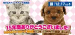 【MEGAドン・キホーテ浜松店 】静岡県 ワンラブ MEGAドン・キホーテ浜松店 閉店のご案内 12/17まで｜ワンラブグループ