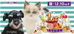 【１周年記念祭 開催！！】大阪府 ワンラブ ららぽーと堺店 感謝イベント開催！！11/25～12/10まで｜ワンラブグループ