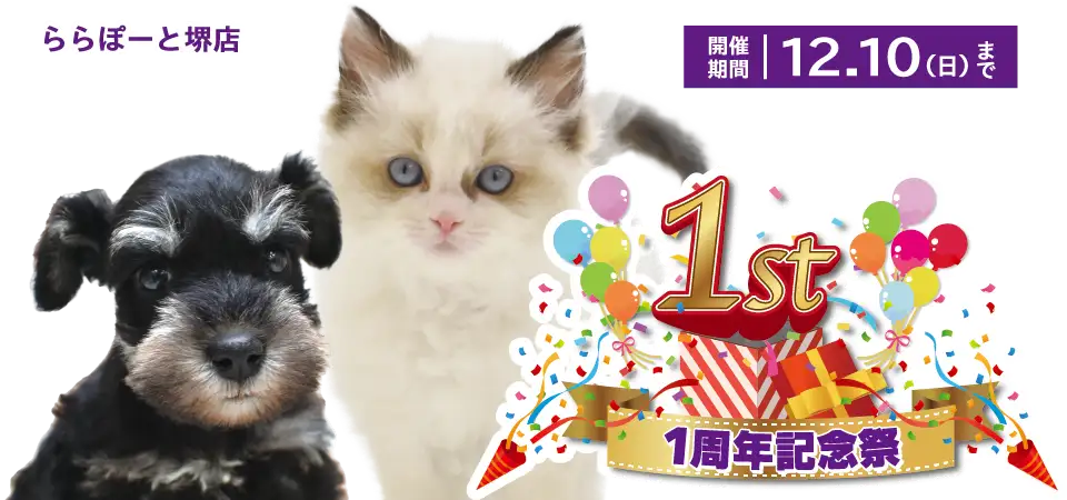 【１周年記念祭 開催！！】大阪府 ワンラブ ららぽーと堺店 感謝イベント開催！！11/25～12/10まで｜ワンラブグループ