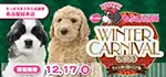 【ウィンターカーニバル 開催】ワンラブ おっきなもふもふ応援隊 イベント開催 12/2～12/17まで