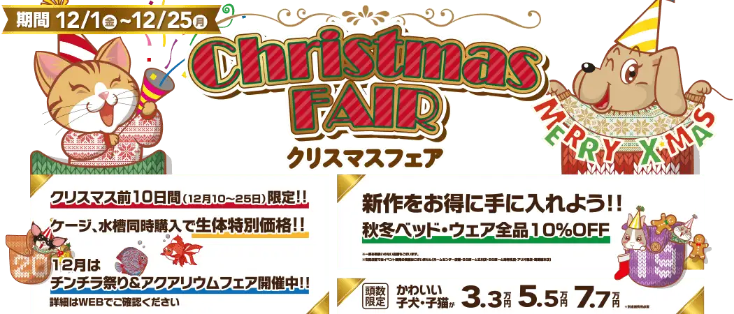 【クリスマスフェア 開催！！】ワンラブ全店｜お客様感謝イベント開催中！！ 12/1～12/25｜ワンラブグループ