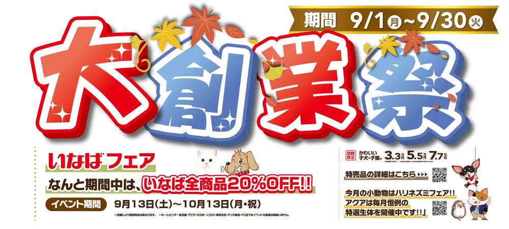 【ありがとう！２２周年創業祭 開催！！】２２年の感謝を込めたワンラブ創業祭 ☆｜9/1～9/30まで