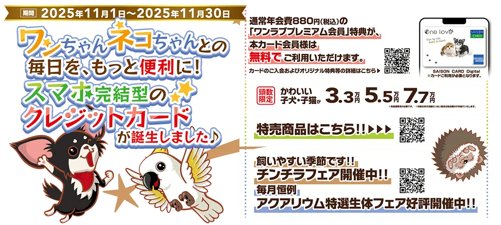 【ウィンターフェア 開催！！】秋のイベント目白押し～SAISON CARD Digital ＜ワンラブ＞誕生記念祭 ☆｜11/1～11/30まで