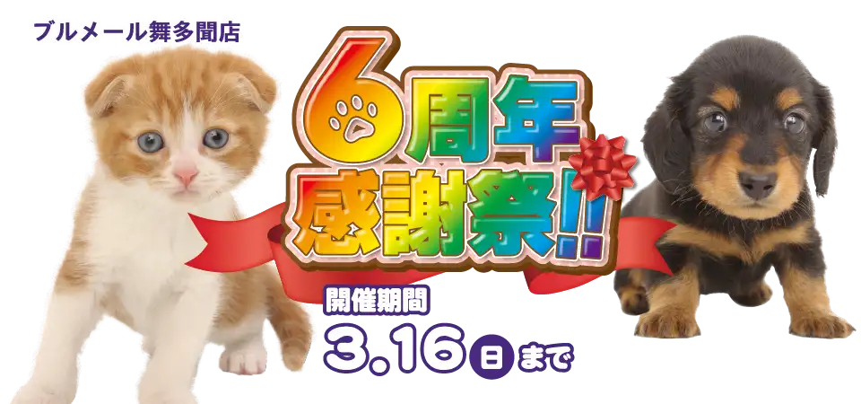 【祝！６周年感謝祭 開催！！】兵庫県 ワンラブ ブルメール舞多聞店 記念イベント開催！！3/1～3/16まで｜ワンラブグループ