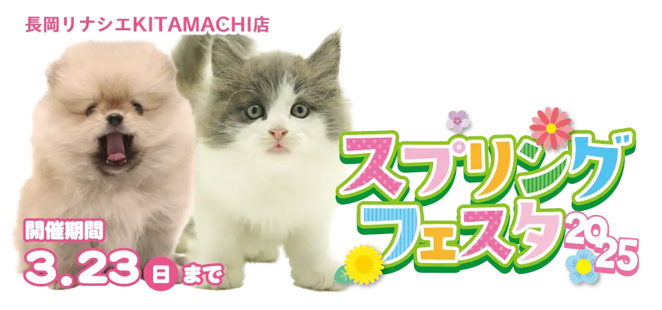 【スプリングフェスタ 開催！！】新潟県 ワンラブ 長岡リナシエKITAMACHI店 春の祭典開催！！3/8～3/23まで｜ワンラブグループ